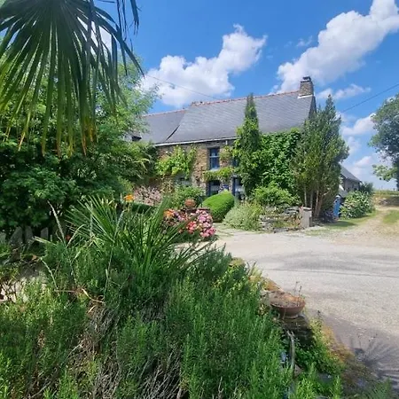 Ble Noir Le Clos Du Tay *